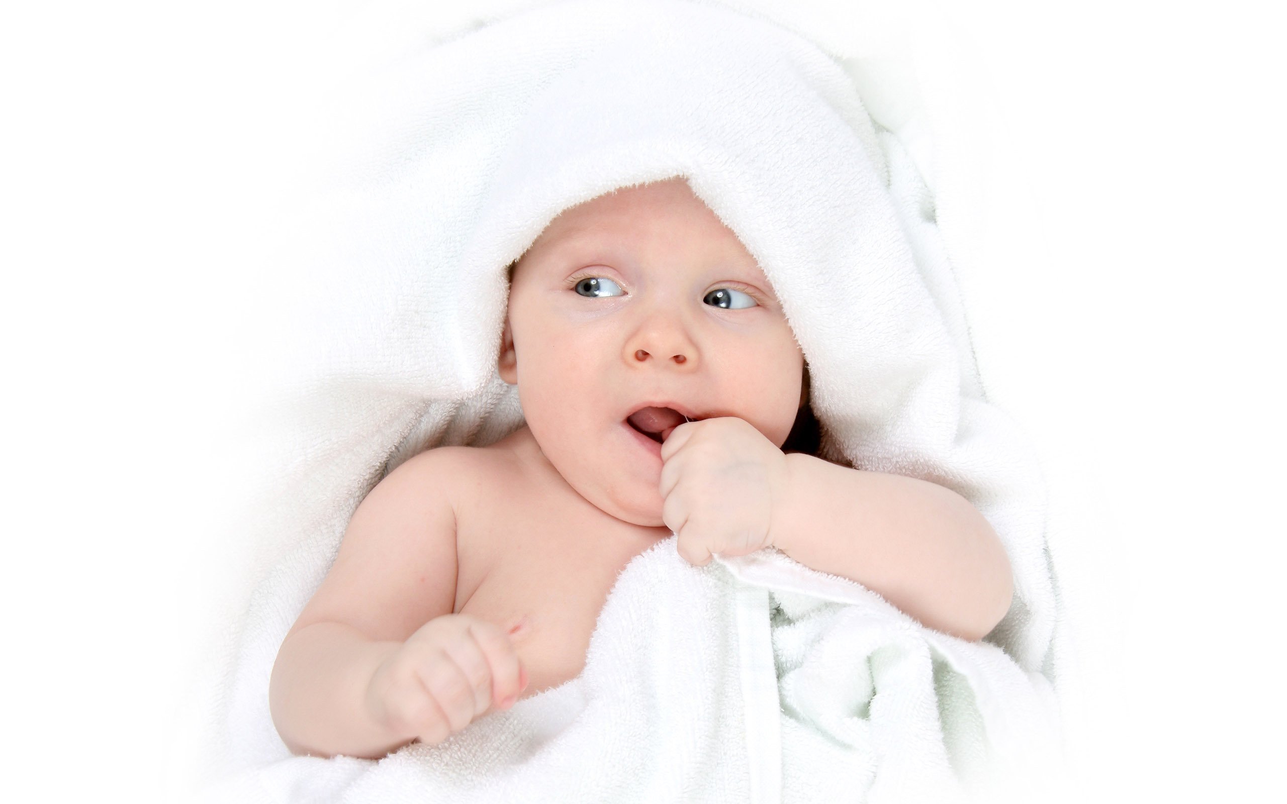 淄博供卵代怀一期囊胚成功率